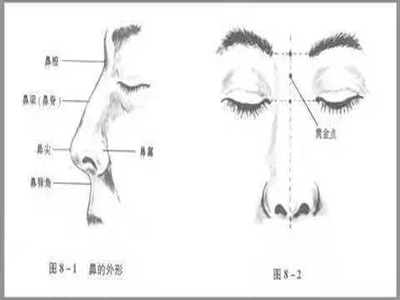 假體隆鼻的優勢