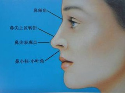 有關鼻子整形的六點常識