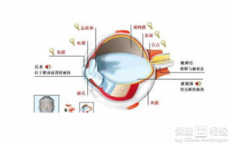 黃斑板層裂孔屬不屬於黃斑變性的一種呢