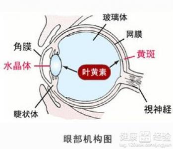 第1步