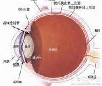 治療黃斑變性偏方