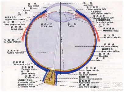 第1步