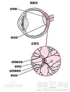 第1步