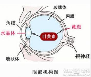 第1步