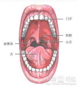 第1步