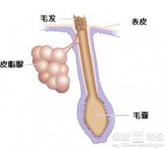 幼兒臉上的皮脂腮痣怎麼辦