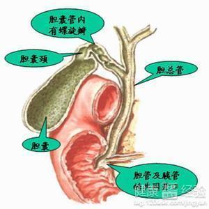 膽管癌病人化療出現皮膚受損怎樣護理