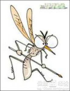 預防和去除蚊蟲叮咬疤痕的具體方法