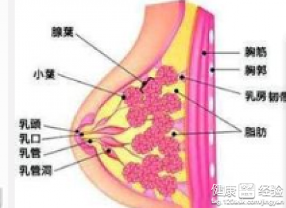 第1步