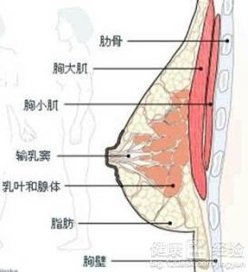 豐胸大概多少錢