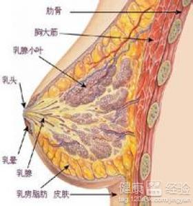 隆胸後手感怎麼樣