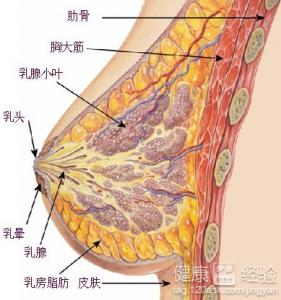 隆胸假體取出安全嗎