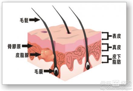 第3步